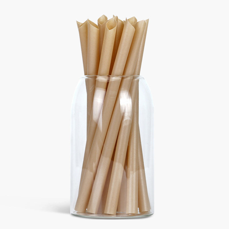 Sugarcane Straws Style 02