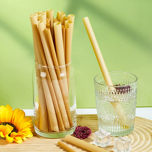 Sugarcane Straws Style 02