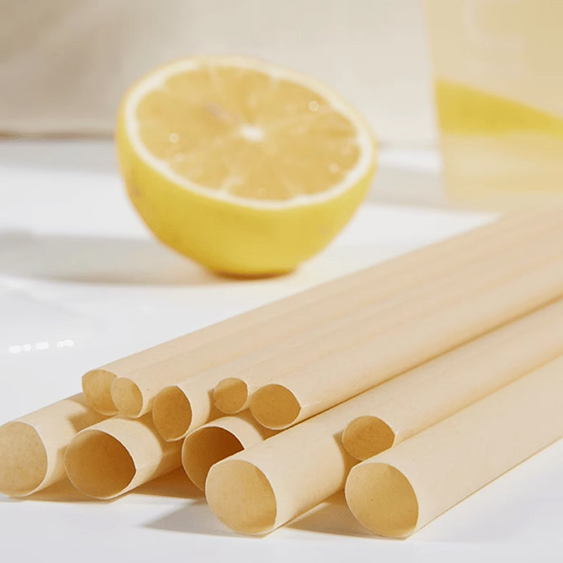 Sugarcane Straws Style 02