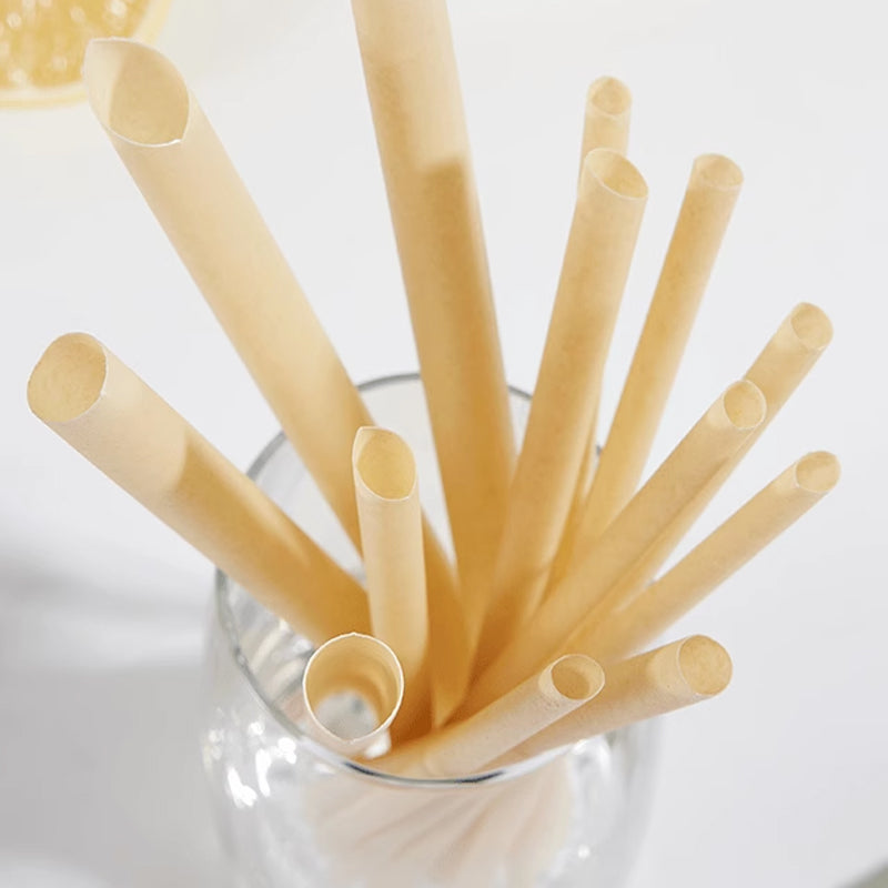 Sugarcane Straws Style 02