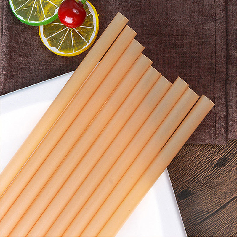 Sugarcane Straws Style 02