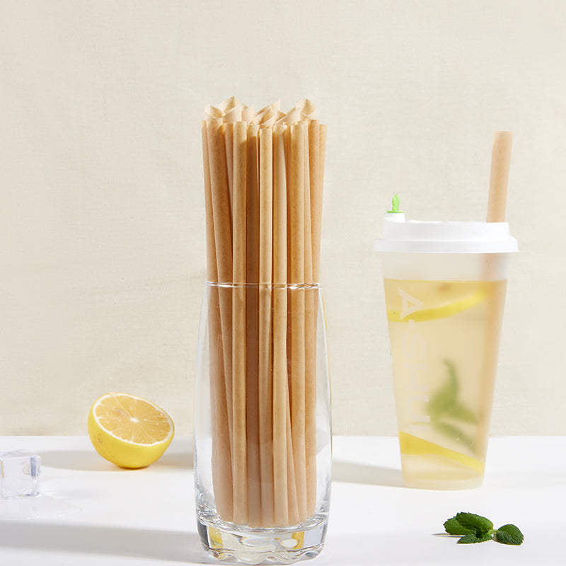 Sugarcane Straws Style 02