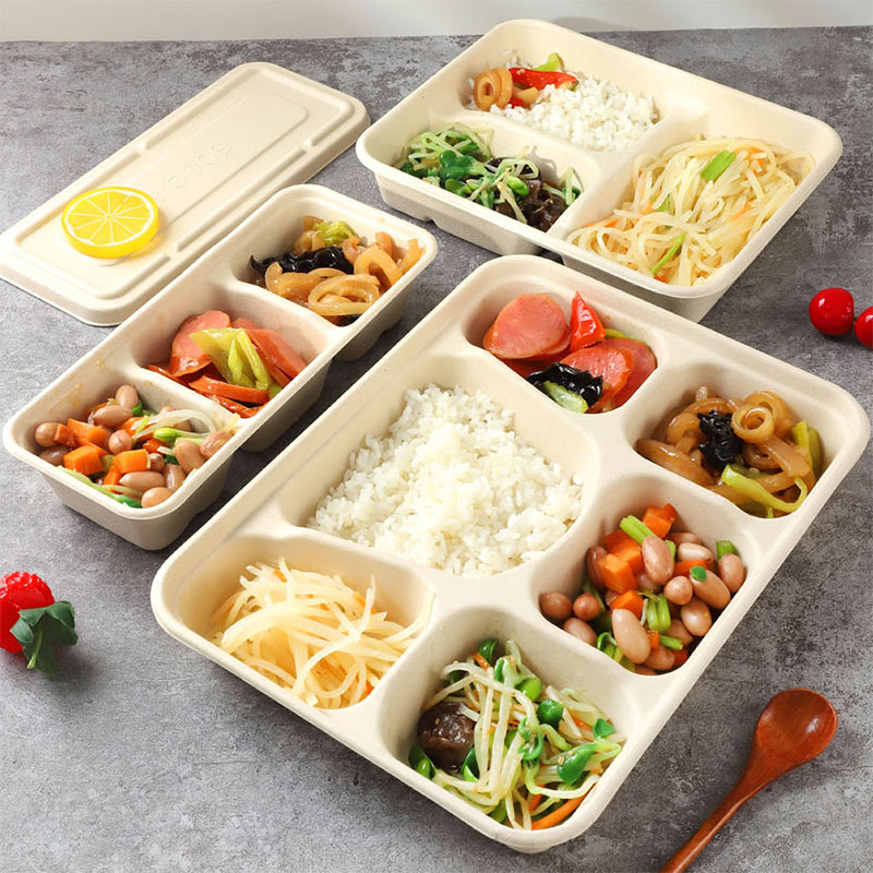 Disposable Pulp Multi-compartment Food Containers