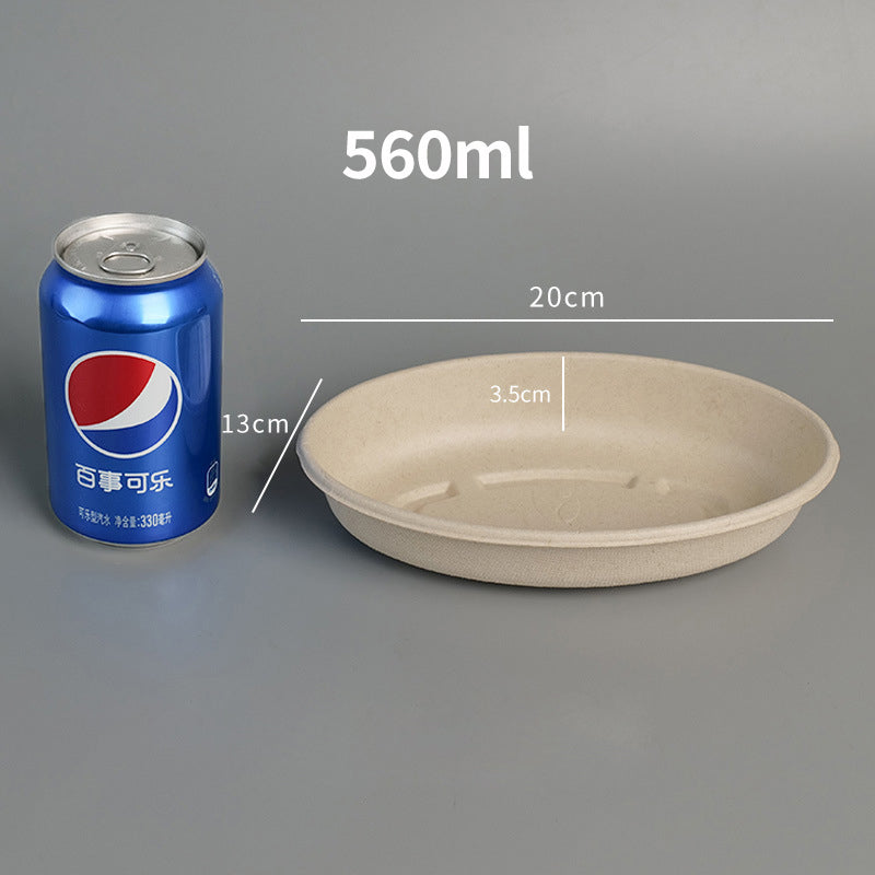 Pulp Oval Food Container