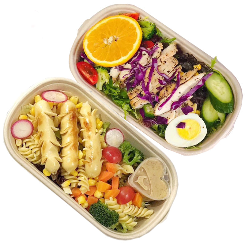 Disposable Pulp Rectangle Food Containers